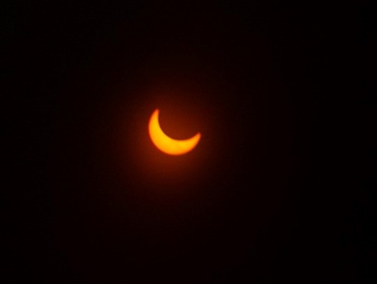 Eclipse anular de 2023 visto a través de un telescopio en el Museo de Historia Natural del Ayuntamiento de Mérida
