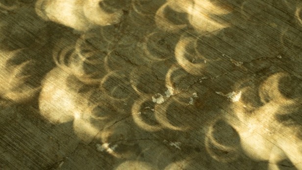 Proyección del eclipse anular en la sombra de los árboles