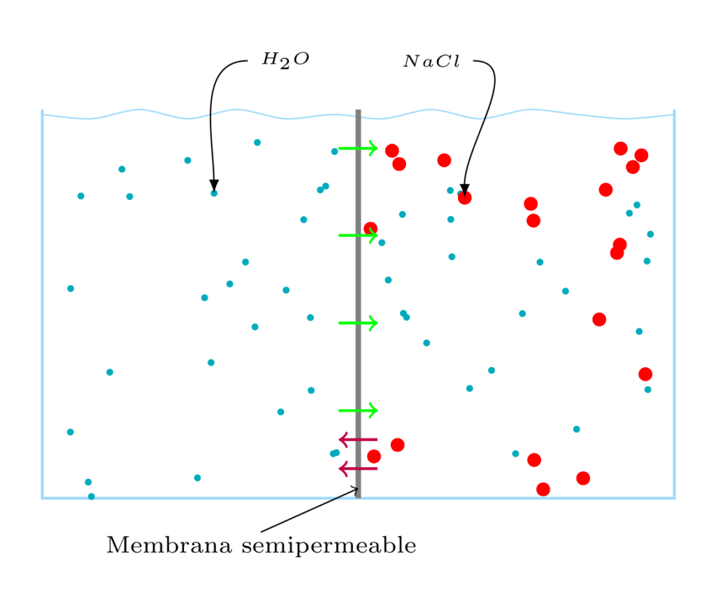 Proceso de osmosis